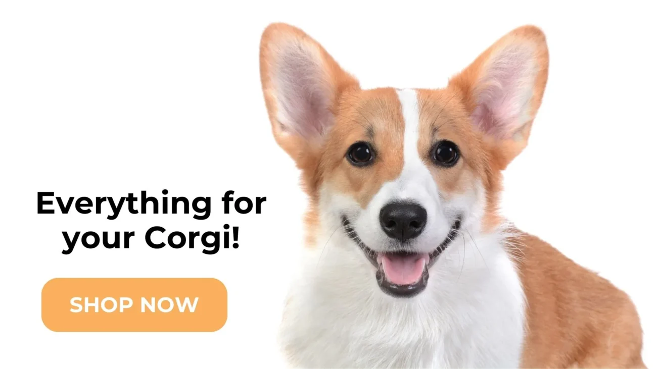 corgi shop tm
