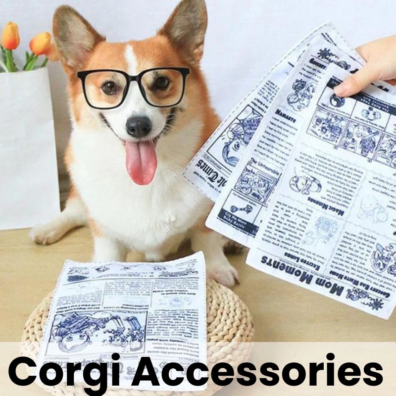 Corgi Wear 1