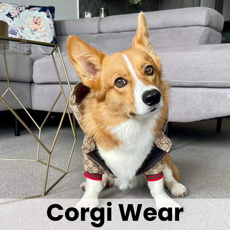 Corgi Wear