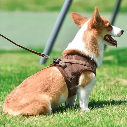 corgi dog harness corgi harness harnesses for corgis corgi harnesses harness corgi dog harness corgi harness for corgi corgi harness size harness for corgis what size harness for corgi corgi chest size
