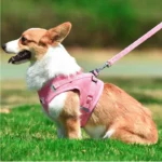 corgi dog harness corgi harness harnesses for corgis corgi harnesses harness corgi dog harness corgi harness for corgi corgi harness size harness for corgis what size harness for corgi corgi chest size