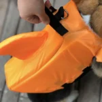 corgi shark, corgi in life jacket, shark vest, shark life jacket