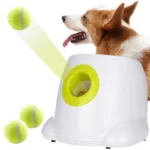 Tennis Ball Launcher Corgi Tennis Corgi Tennis Ball