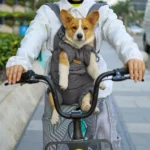 Outdoor Corgi Backpack - Image 4