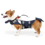 Corgi Shark Life Jacket - Image 5