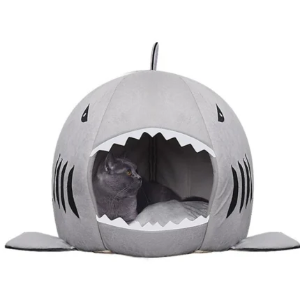 shark corgi house