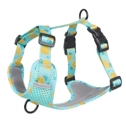best harness for corgi, best corgi harness, corgi dog harness