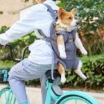 Outdoor Corgi Backpack - Image 3