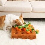 Corgi Carrot Field Pull Toy - Image 10