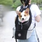 corgi backpacks, corgi backpack, corgi in backpack, loungefly corgi backpack, corgi mini backpack Corgi Travel Backpack