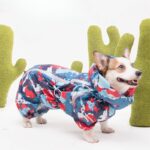 Corgi Club Raincoat Brown Bear