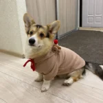 Christmas Corgi Hoodie Corgi Holiday Hoodie Corgi Hoodie