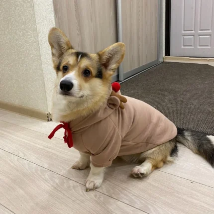 Christmas Corgi Hoodie Corgi Holiday Hoodie Corgi Hoodie