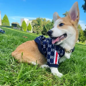 Corgi Fashion Jacket 2 Jackets & Coats Corgi Fashion Jacket