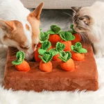 Corgi Carrot Field Pull Toy - Image 5