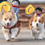 Cowboy Corgi Costume