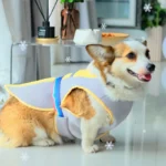 Corgi Summer Vest