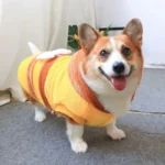 CorgiBuzz Costume