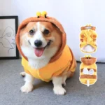 CorgiBuzz Costume