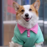 Polo Corgo Shirt