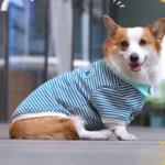 Polo Corgo Shirt - Image 8