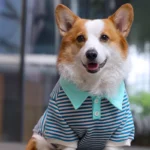 Polo Corgo Shirt - Image 5