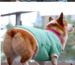 Polo Corgo Shirt - Image 6