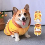 CorgiBuzz Costume