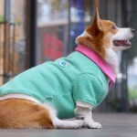 Polo Corgo Shirt - Image 7