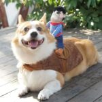 Cowboy Corgi Costume