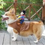 Cowboy Corgi Costume