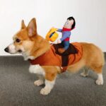 Cowboy Corgi Costume