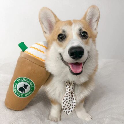 Frappuccino Corgi Toy