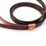 The Chewy V Print Corgi Backpack - Image 16