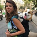 Compact Corgi Carrier - Image 4