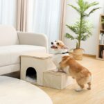 Corgi Ramp Safety Bed Ladder Corgi Ladder Corgi Bed