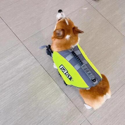 Fast Corgi Life Jacket Fast Corgi Life Vest